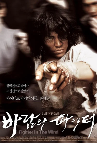 Постер к фильму Воин ветра (2004)